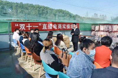 以新媒體技術服務賦能鄉村振興 國家級電子商務進農村綜合示范項目的新引擎